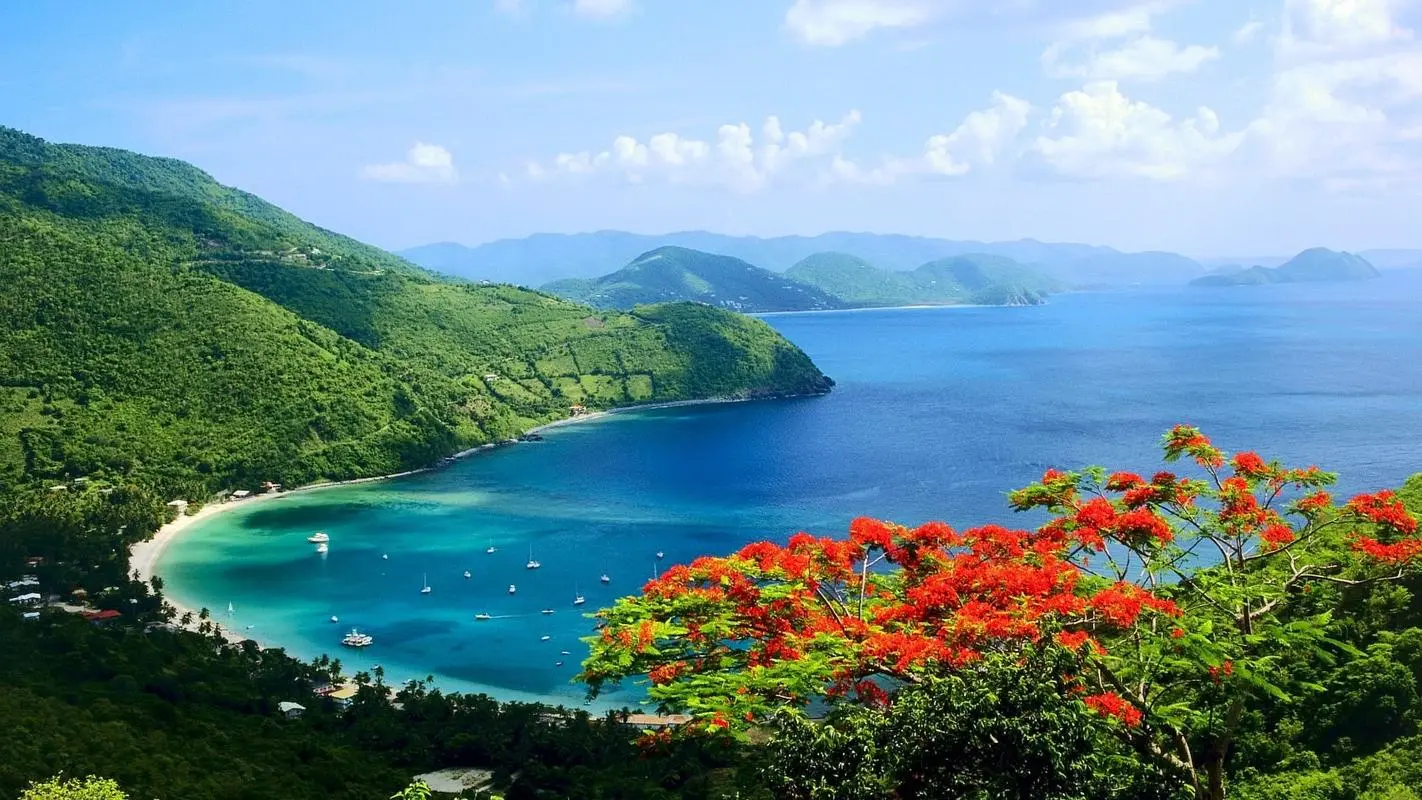 自动化节能自动化